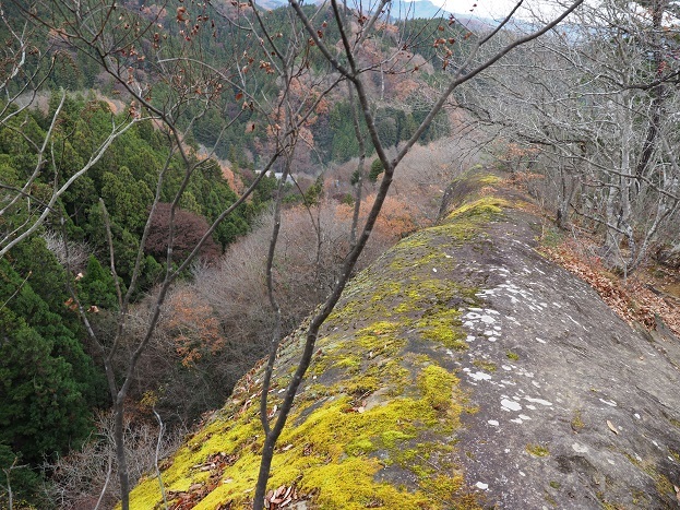 e0272042_19582537.jpg