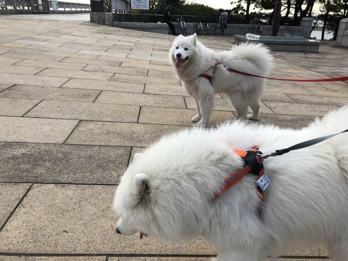 2018年冬 東京旅行 その1_f0128542_02515830.jpg