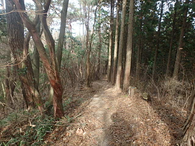 初雪の六甲　有馬三山縦走　おじさんの休日_f0334143_8492746.jpg