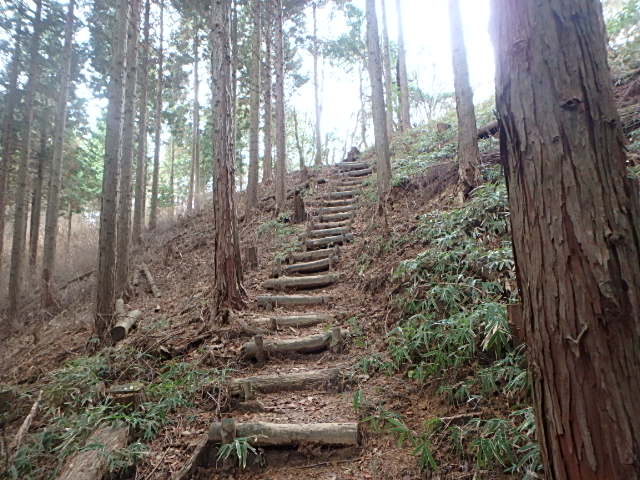 f0334143_8501461.jpg