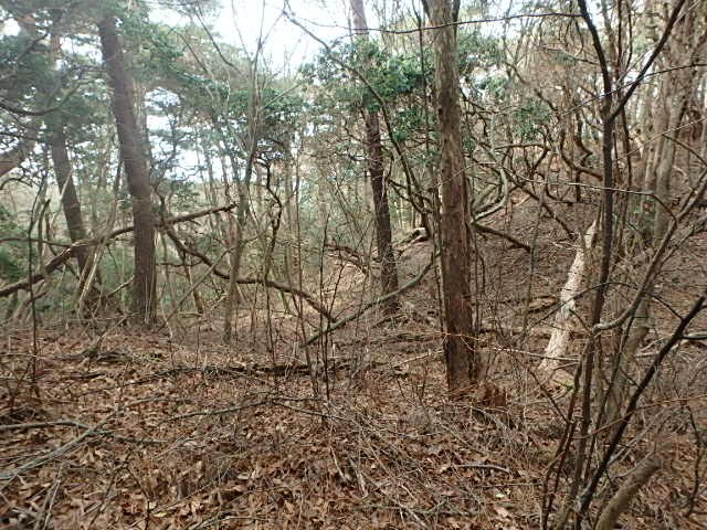 初雪の六甲　有馬三山縦走　おじさんの休日_f0334143_8502717.jpg