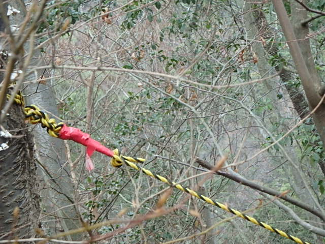 f0334143_852452.jpg