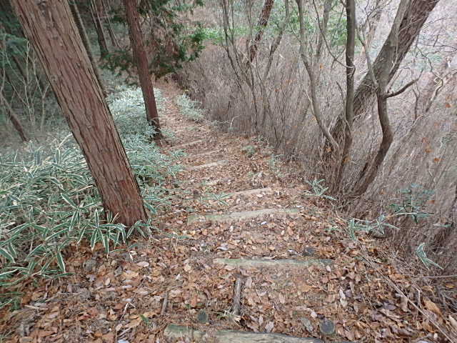 初雪の六甲　有馬三山縦走　おじさんの休日_f0334143_8525825.jpg