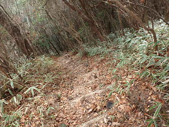 f0334143_8535431.jpg