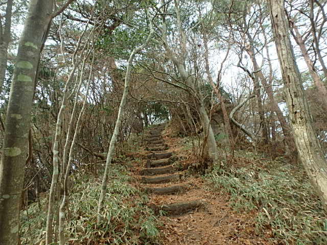 初雪の六甲　有馬三山縦走　おじさんの休日_f0334143_8541256.jpg