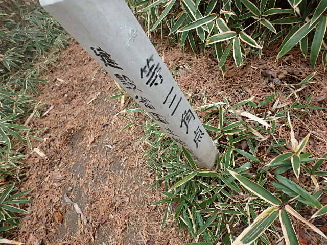 f0334143_8551380.jpg