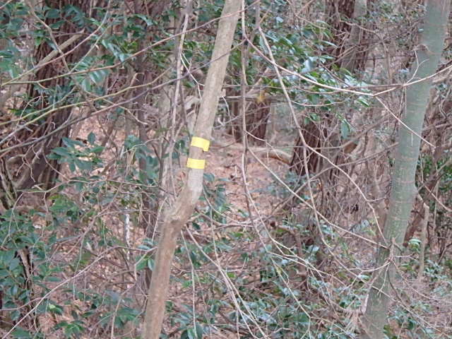 f0334143_8571247.jpg