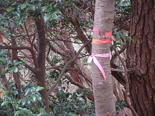f0334143_8574113.jpg