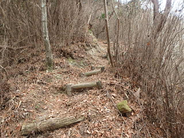 f0334143_905786.jpg