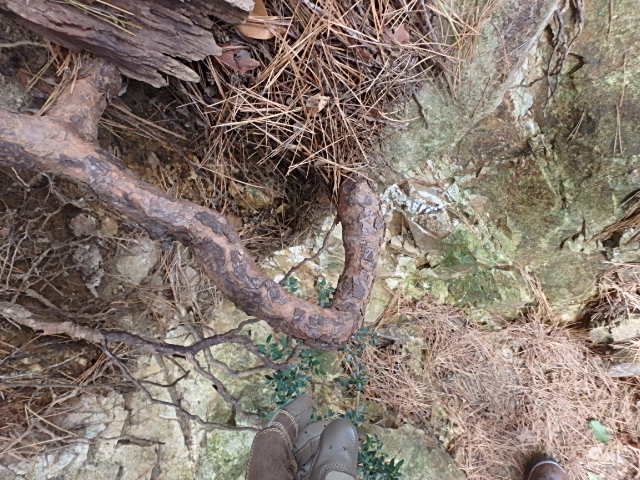 f0334143_924248.jpg
