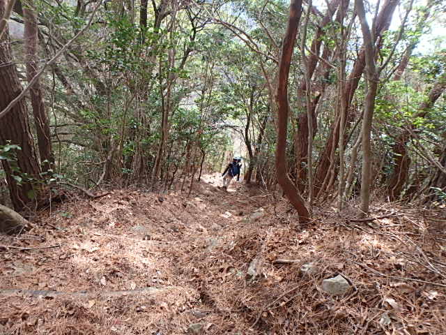 f0334143_92772.jpg