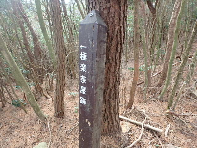 f0334143_935569.jpg