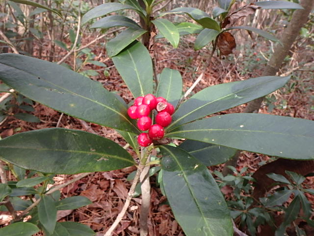 f0334143_951312.jpg