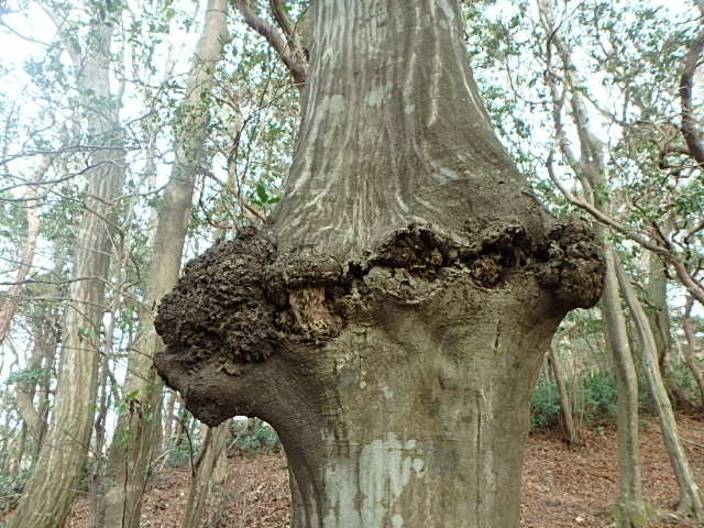 f0334143_96266.jpg