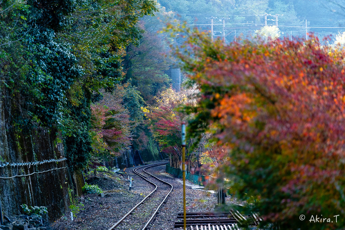トロッコ保津峡駅 -1-_f0152550_22162227.jpg