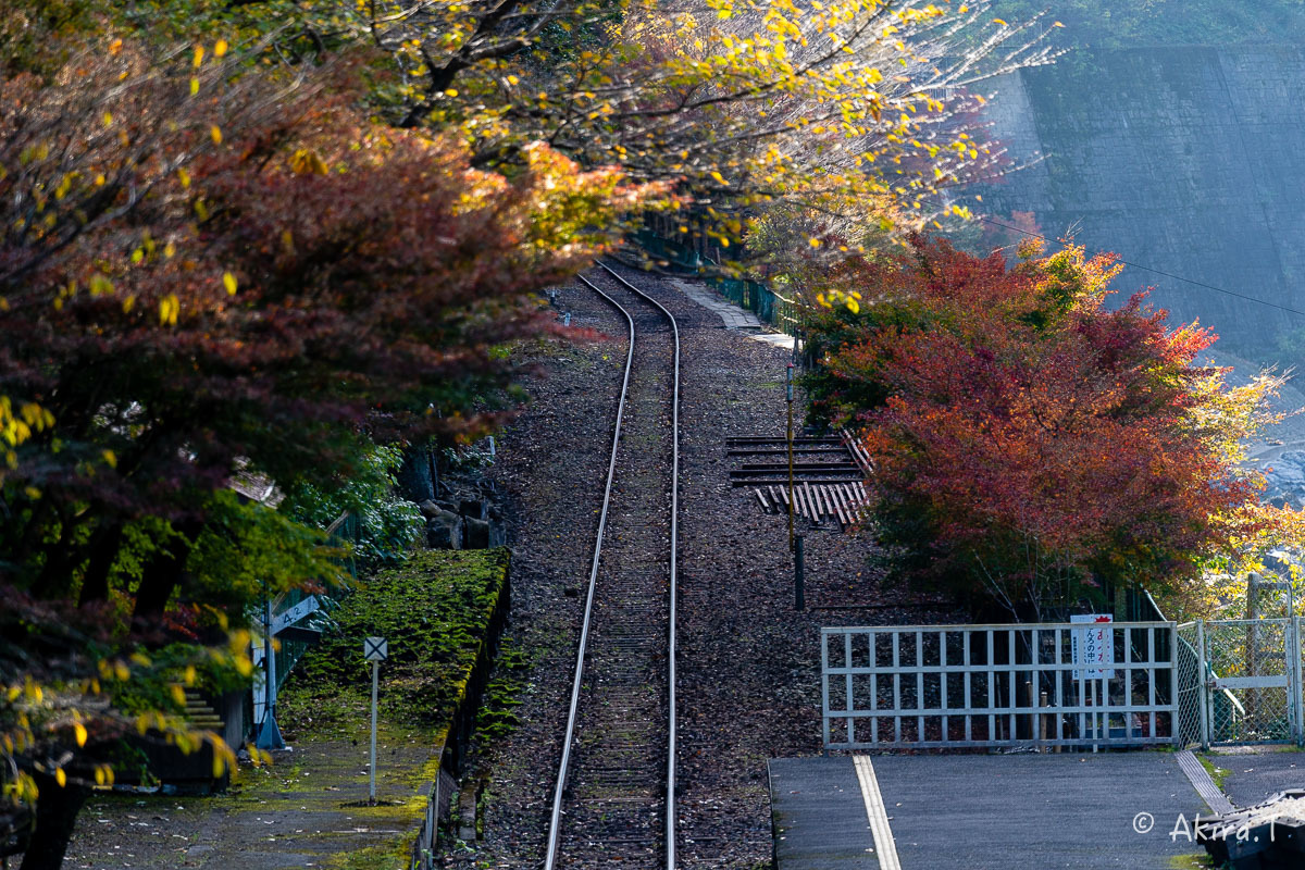 トロッコ保津峡駅 -1-_f0152550_22162855.jpg