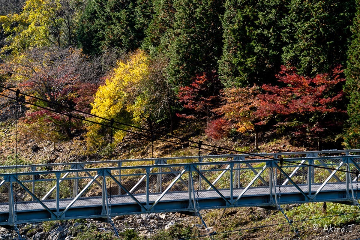 トロッコ保津峡駅 -1-_f0152550_22164250.jpg