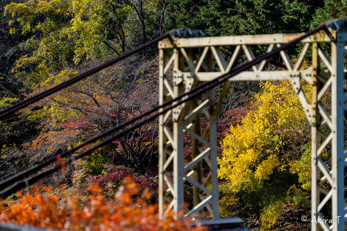 トロッコ保津峡駅 -1-_f0152550_22165223.jpg