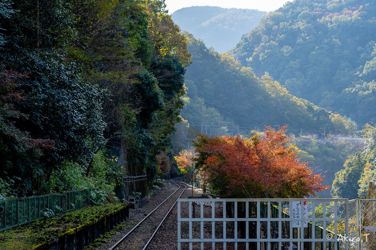 トロッコ保津峡駅 -1-_f0152550_22171408.jpg