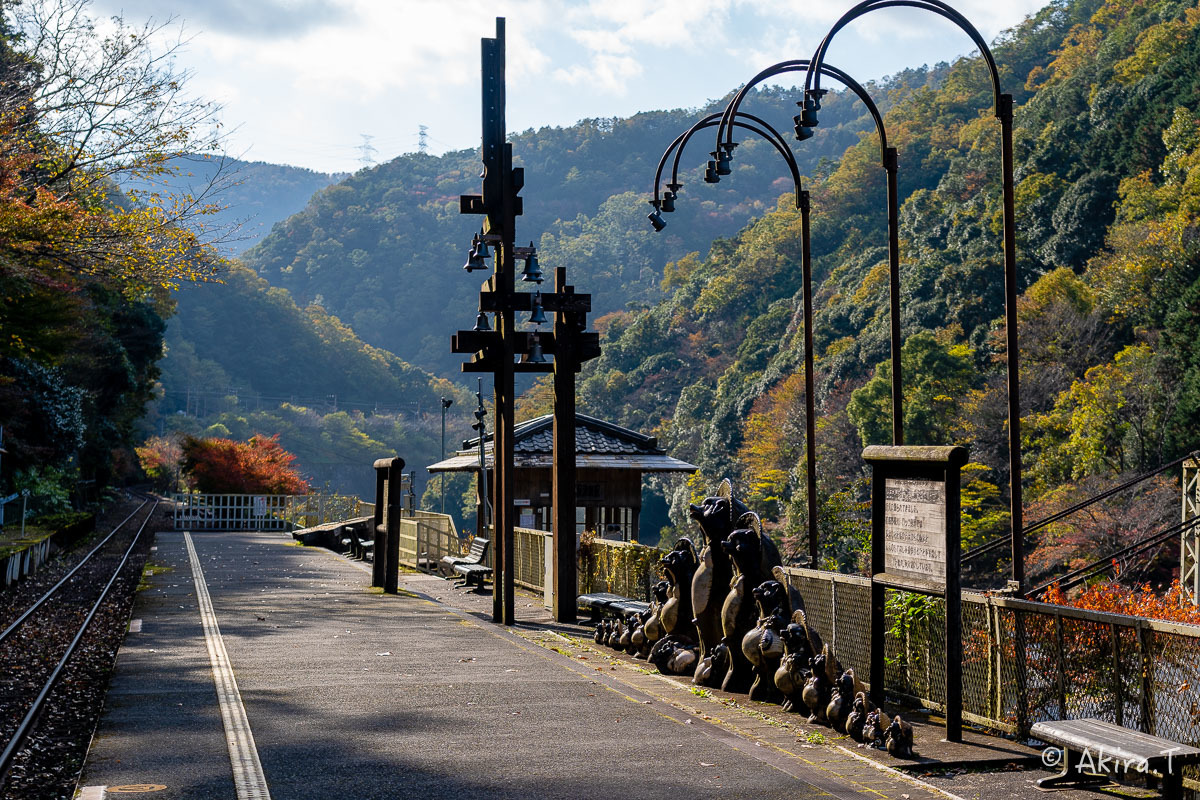 トロッコ保津峡駅 -1-_f0152550_22173259.jpg