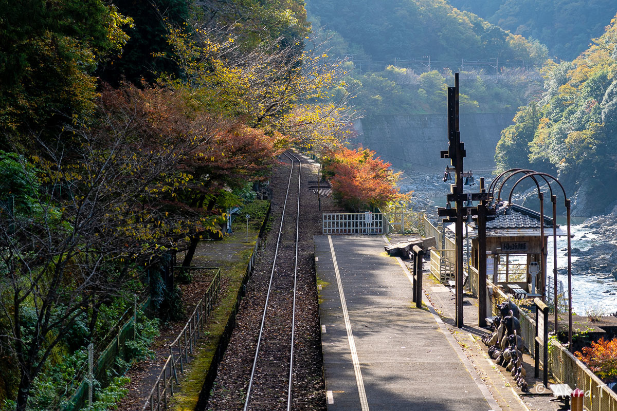 トロッコ保津峡駅 -1-_f0152550_22190418.jpg