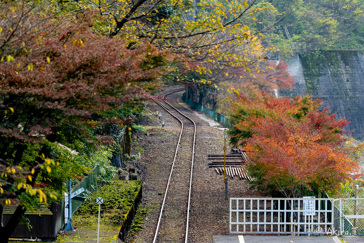 トロッコ保津峡駅 -1-_f0152550_22203242.jpg