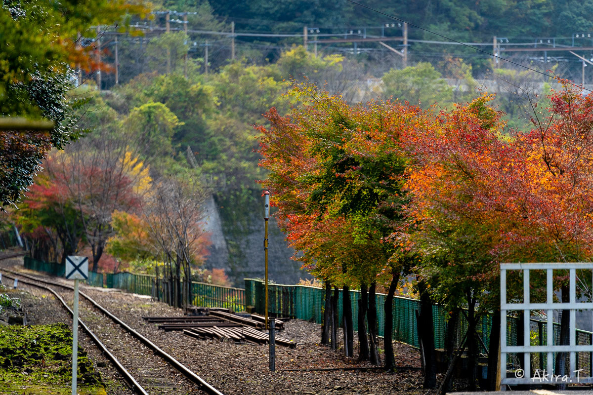 トロッコ保津峡駅 -1-_f0152550_22205258.jpg