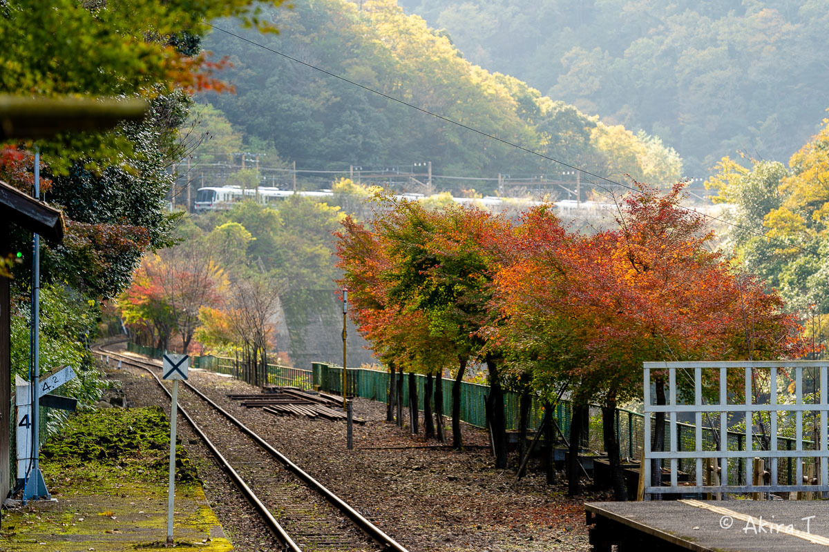 トロッコ保津峡駅 -1-_f0152550_22220222.jpg