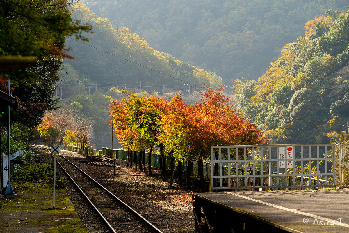 トロッコ保津峡駅 -1-_f0152550_22222304.jpg