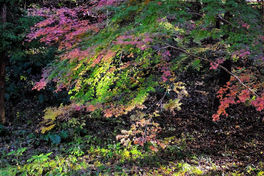 b0236251_17251260.jpg