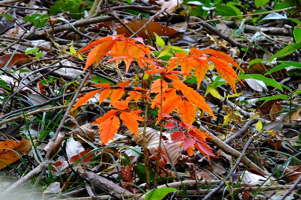 b0236251_17275058.jpg