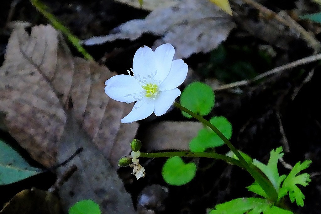 b0236251_17275588.jpg
