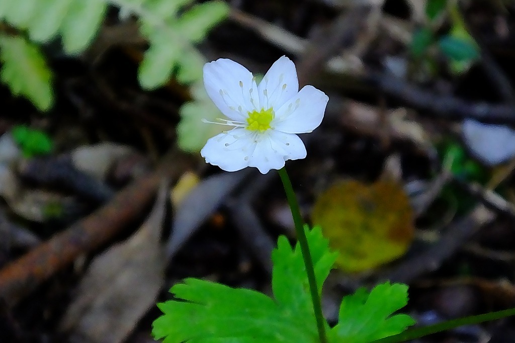 b0236251_17280145.jpg
