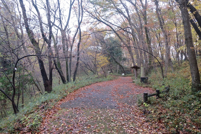 f0202151_21343291.jpg