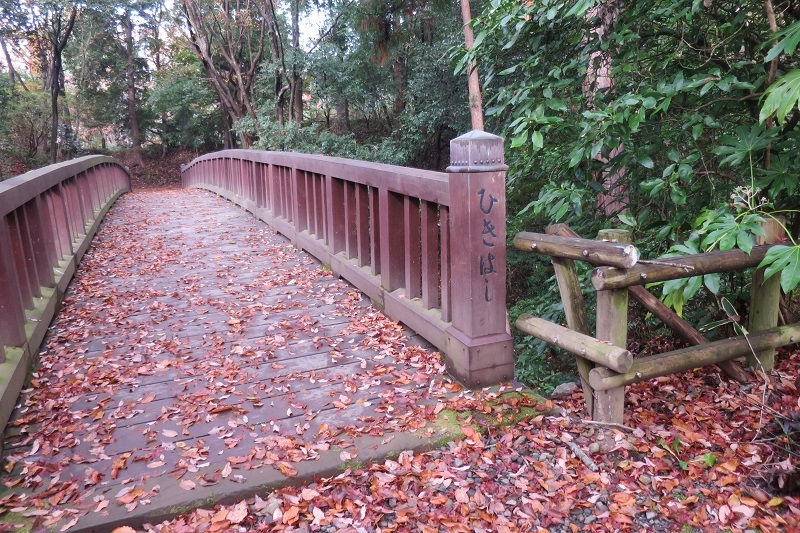 f0202151_21345365.jpg
