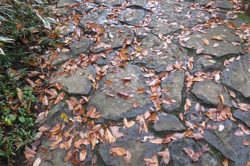 f0202151_21353027.jpg