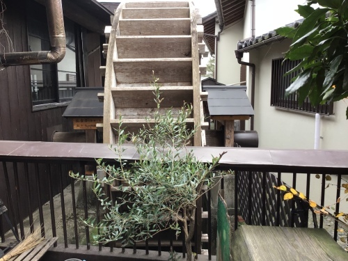 f0352451_16160317.jpeg
