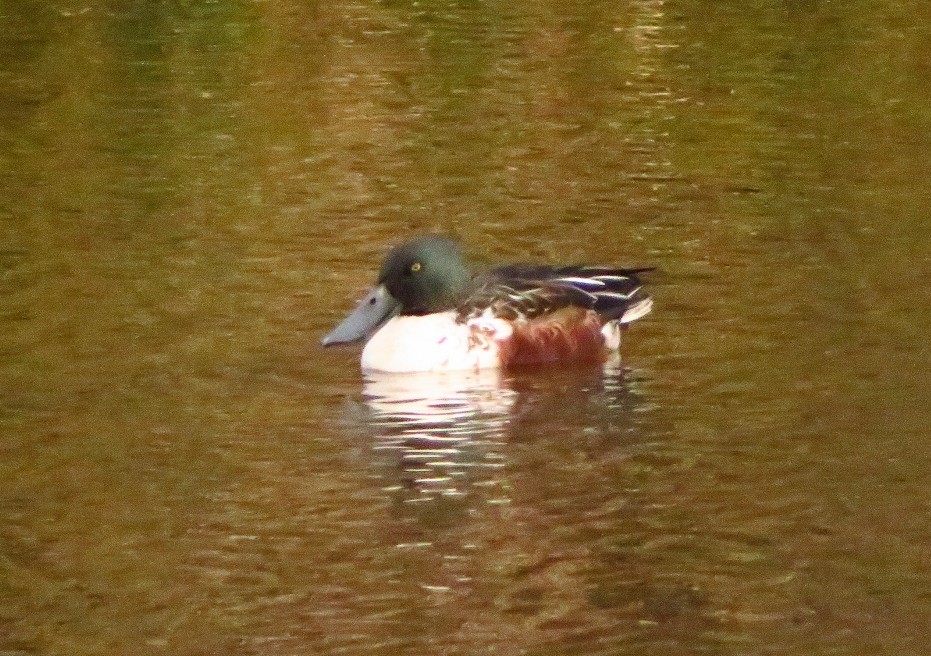 a0018655_10143596.jpg