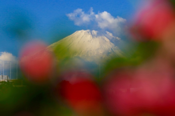 a0248459_13510412.jpg