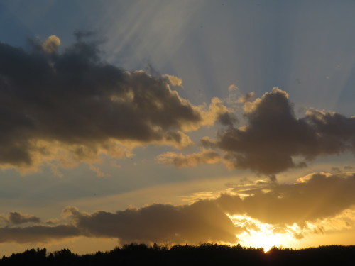 b0301459_05445576.jpg