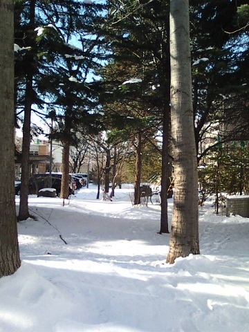 d0145759_19272545.jpg