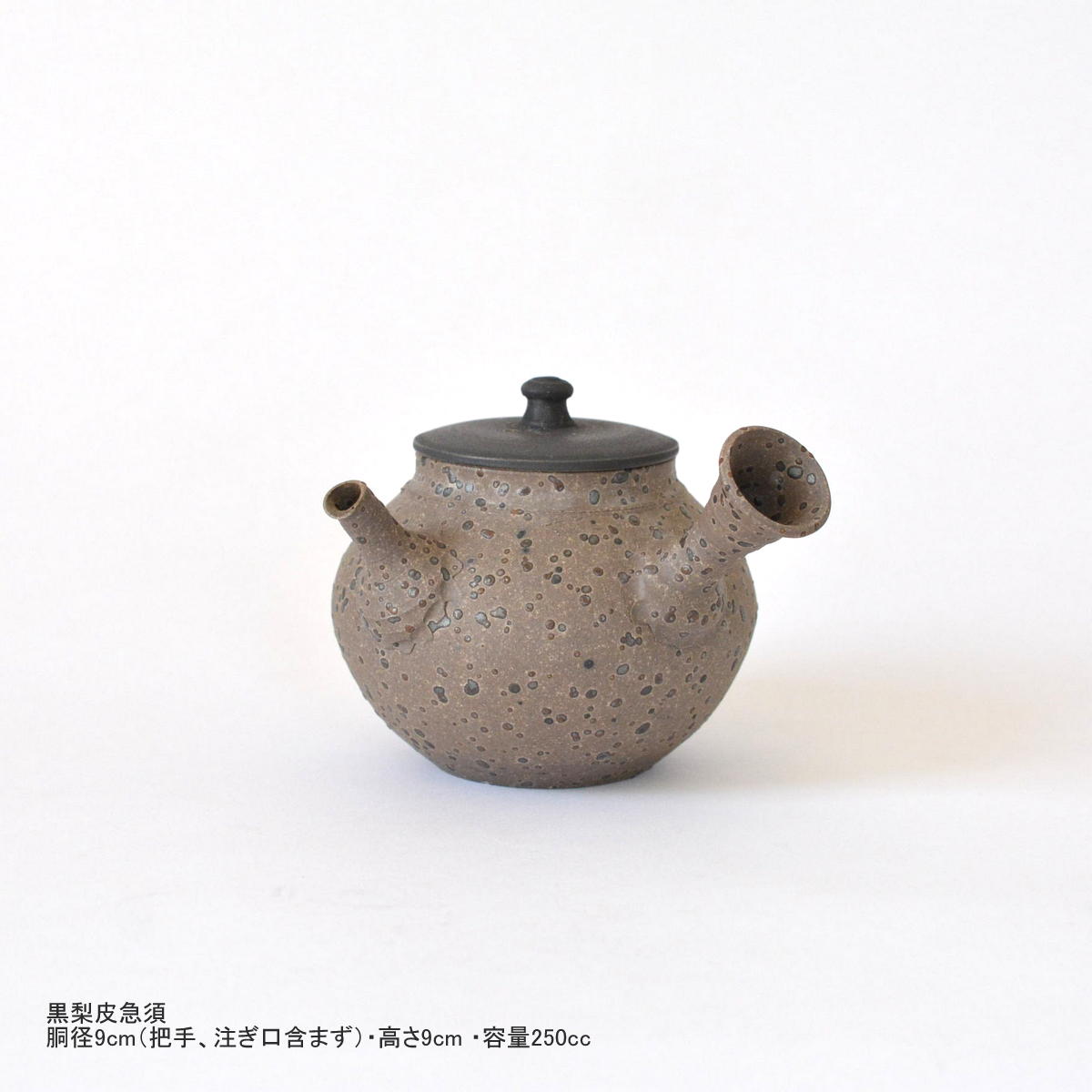 「伊藤雅風展　 急須愛」出品物ご案内_d0087761_1551020.jpg