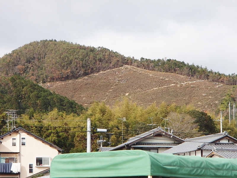 b0044663_11295549.jpg