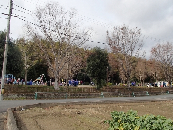 b0044663_11312915.jpg