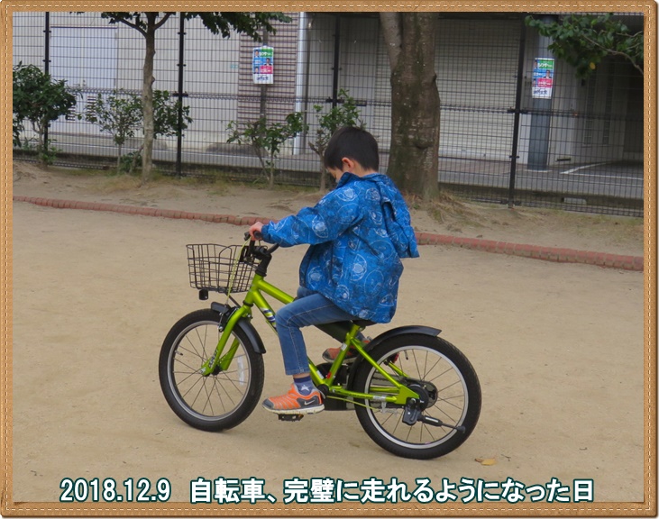 a0052666_2147111.jpg