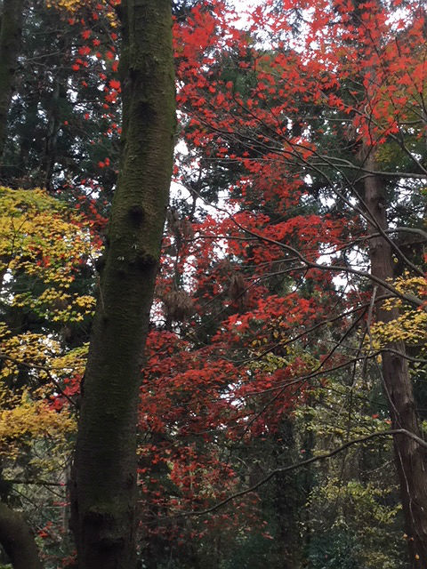 c0228466_18122393.jpg