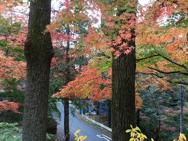 c0228466_18140377.jpg