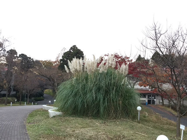 c0228466_18141895.jpg