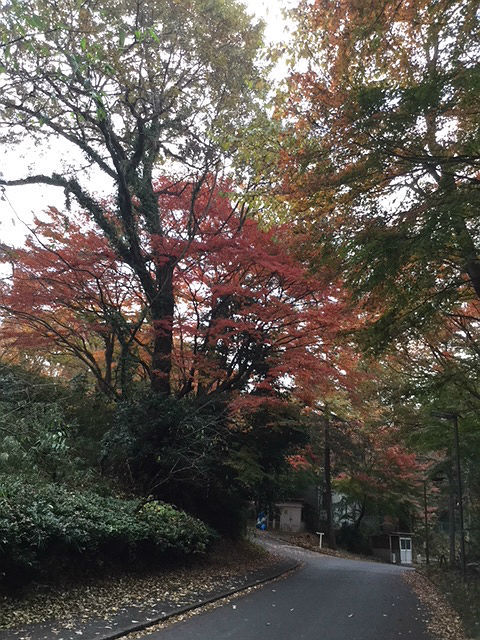 c0228466_18143093.jpg