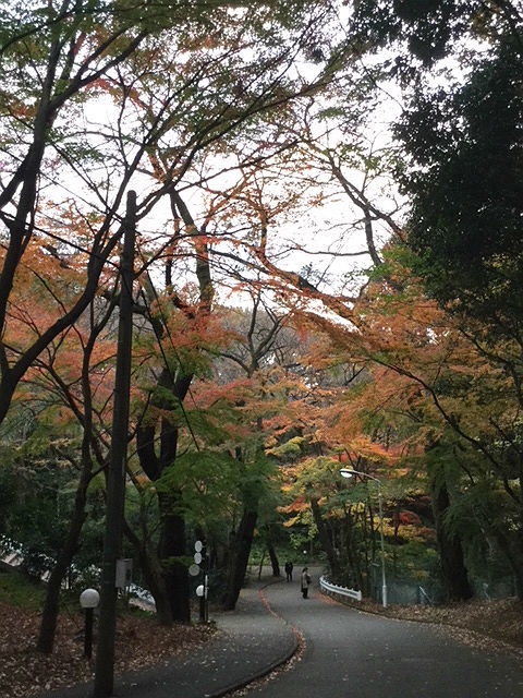 c0228466_18175322.jpg
